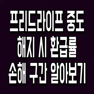 프리드라이프 중도 해지 시 환급률 손해 구간 알아보기