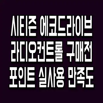 시티즌 에코드라이브 라디오컨트롤 구매전 포인트 실사용 만족도