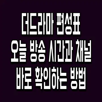 더드라마 편성표 오늘 방송 시간과 채널 바로 확인하는 방법