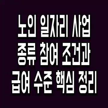 노인 일자리 사업 종류 참여 조건과 급여 수준 핵심 정리