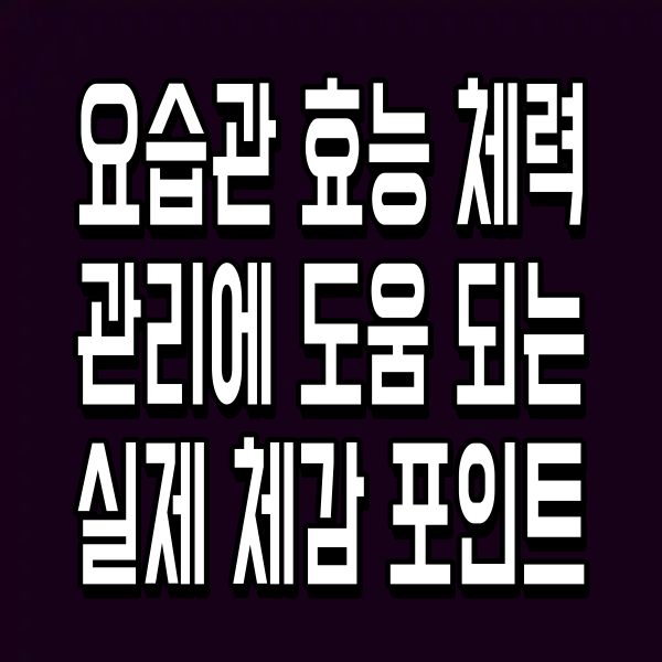 요습관 효능 체력 관리에 도움 되는 실제 체감 포인트