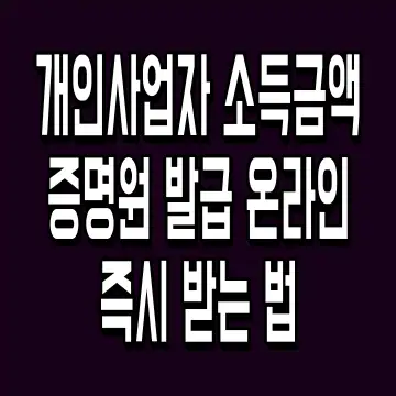 개인사업자 소득금액증명원 발급 온라인 즉시 받는 법