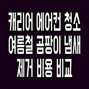 캐리어 에어컨 청소 여름철 곰팡이 냄새 제거 비용 비교
