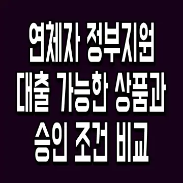 연체자 정부지원대출 가능한 상품과 승인 조건 비교