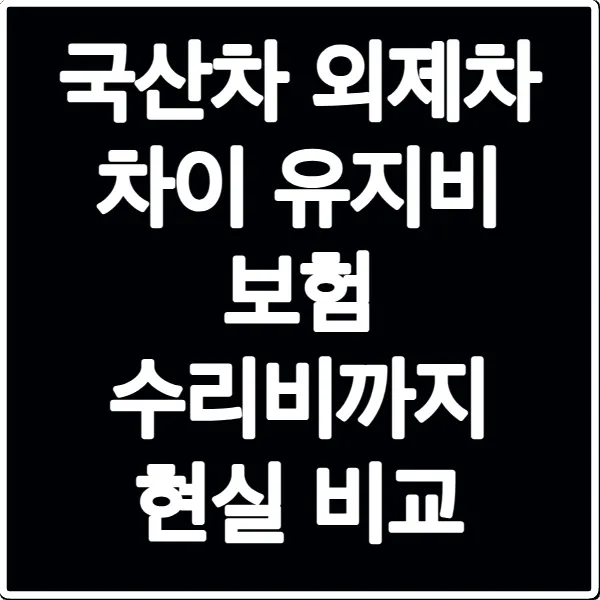 국산차 외제차 차이 유지비 보험 수리비까지 현실 비교