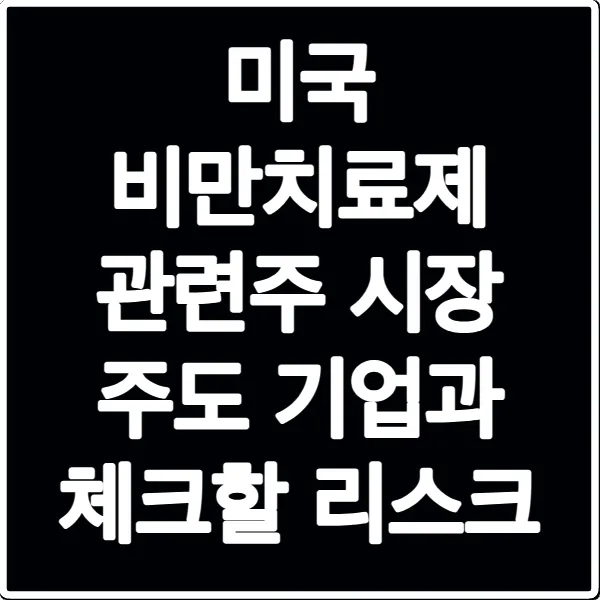 미국 비만치료제 관련주 시장 주도 기업과 체크할 리스크