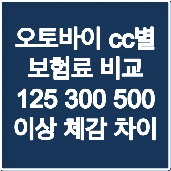 오토바이 cc별 보험료 비교 125 300 500 이상 체감 차이