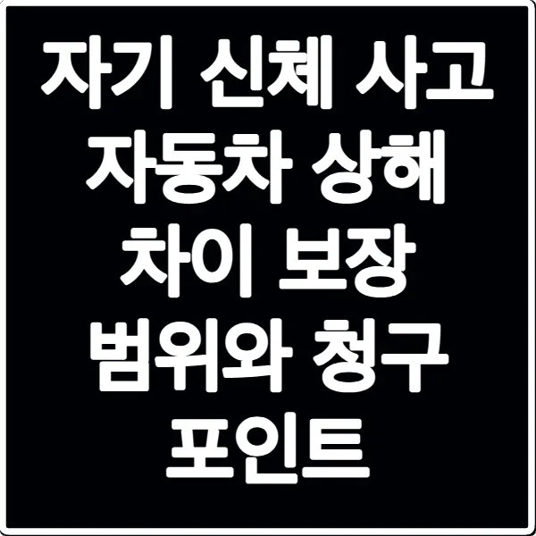 자기 신체 사고 자동차 상해 차이 보장 범위와 청구 포인트
