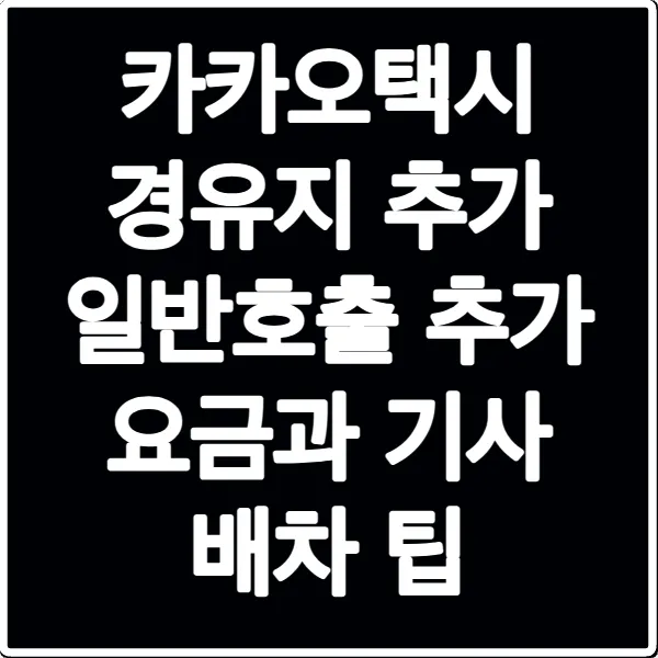 카카오택시 경유지 추가 일반호출 추가 요금과 기사 배차 팁
