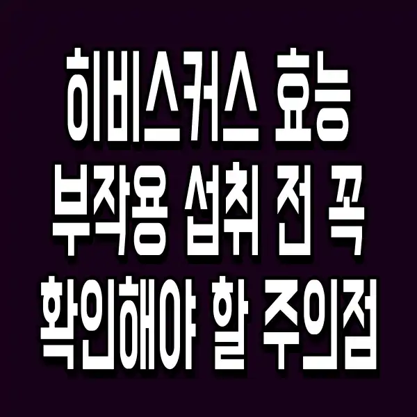 히비스커스 효능 부작용 섭취 전 꼭 확인해야 할 주의점