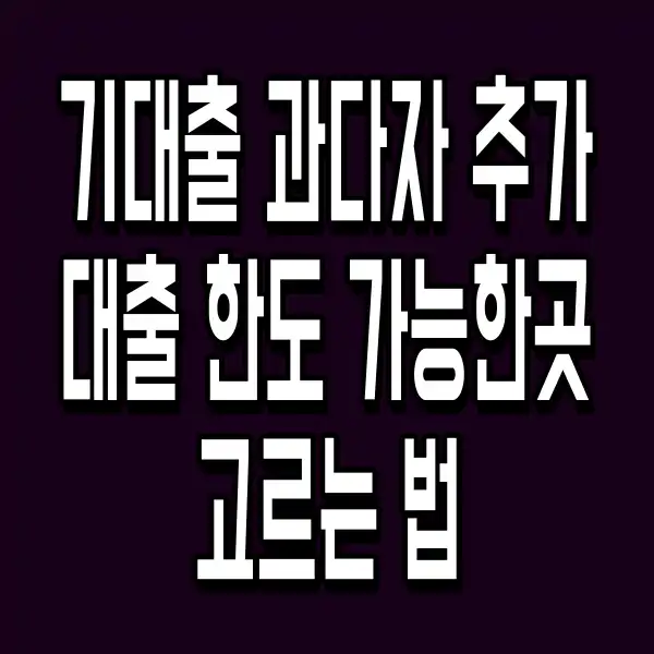 기대출 과다자 추가대출 한도 가능한곳 고르는 법
