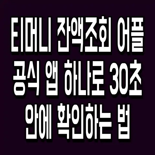 티머니 잔액조회 어플 공식 앱 하나로 30초 안에 확인하는 법