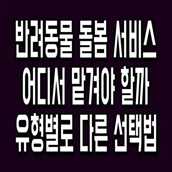 반려동물 돌봄 서비스 어디서 맡겨야 할까, 유형별로 다른 선택법