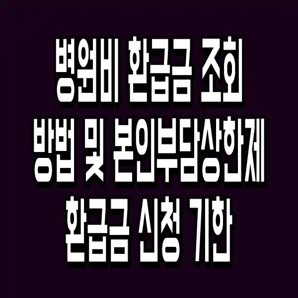 병원비 환급금 조회 방법 및 본인부담상한제 환급금 신청 기한
