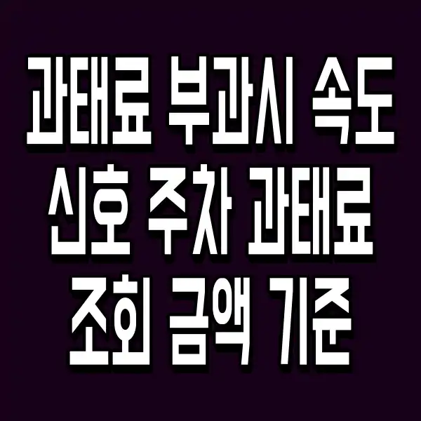 과태료 부과시 속도 신호 주차 과태료 조회 금액 기준