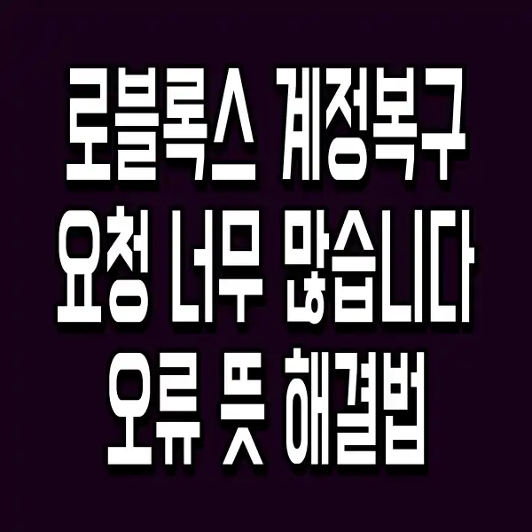 로블록스 계정복구 요청 너무 많습니다 오류 뜻 해결법