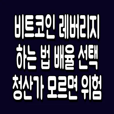 비트코인 레버리지 하는 법 배율 선택 청산가 모르면 위험