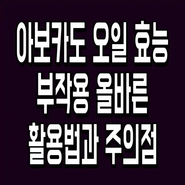 아보카도 오일 효능 부작용 올바른 활용법과 주의점