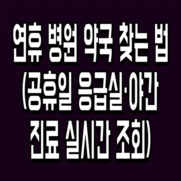 연휴 병원 약국 찾는 법 (공휴일 응급실·야간 진료 실시간 조회)
