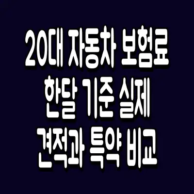 20대 자동차 보험료 한달 기준 실제 견적과 특약 비교