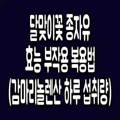 달맞이꽃 종자유 효능 부작용 복용법 (감마리놀렌산 하루 섭취량까지)