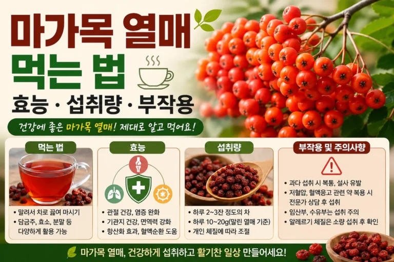 마가목 열매 먹는 법 효능 섭취량 부작용은 없을까