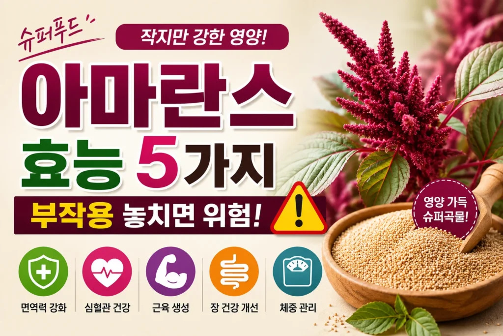 아마란스 효능 5가지, 부작용 놓치면 위험