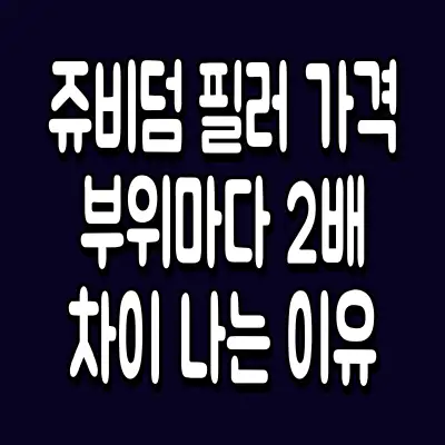 쥬비덤 필러 가격 부위마다 2배 차이 나는 이유