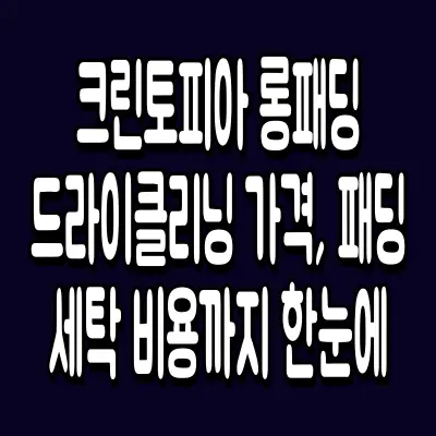 크린토피아 롱패딩 드라이클리닝 가격, 패딩 세탁 비용까지 한눈에