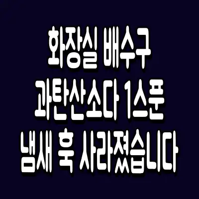 화장실 배수구 과탄산소다 1스푼 냄새 훅 사라졌습니다