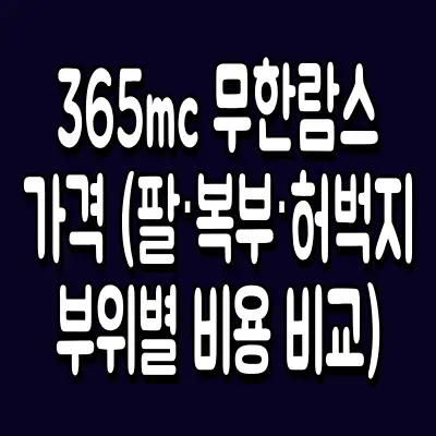 365mc 무한람스 가격 (팔·복부·허벅지 부위별 비용 비교)