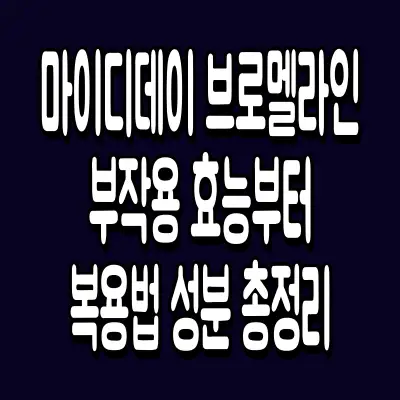 마이디데이 브로멜라인 부작용 효능부터 복용법 성분 총정리
